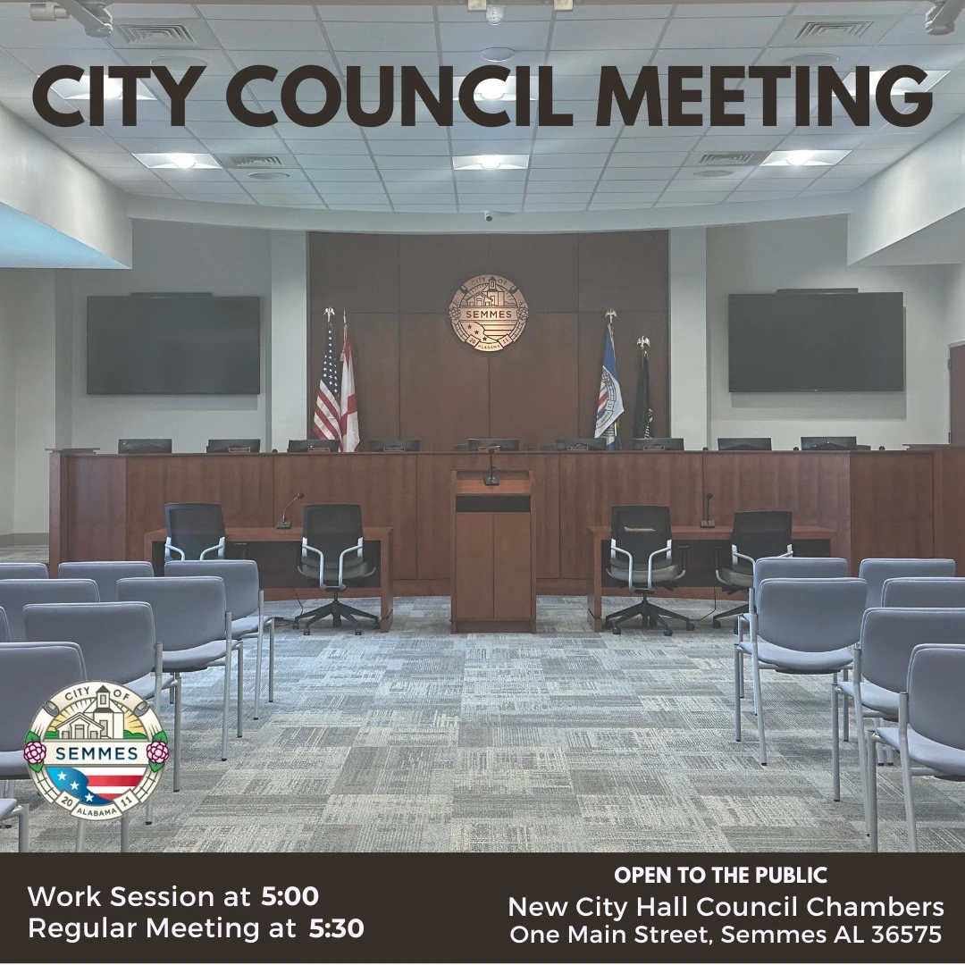 city council meeting flyer