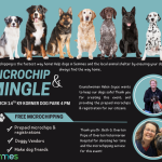 microchip graphic