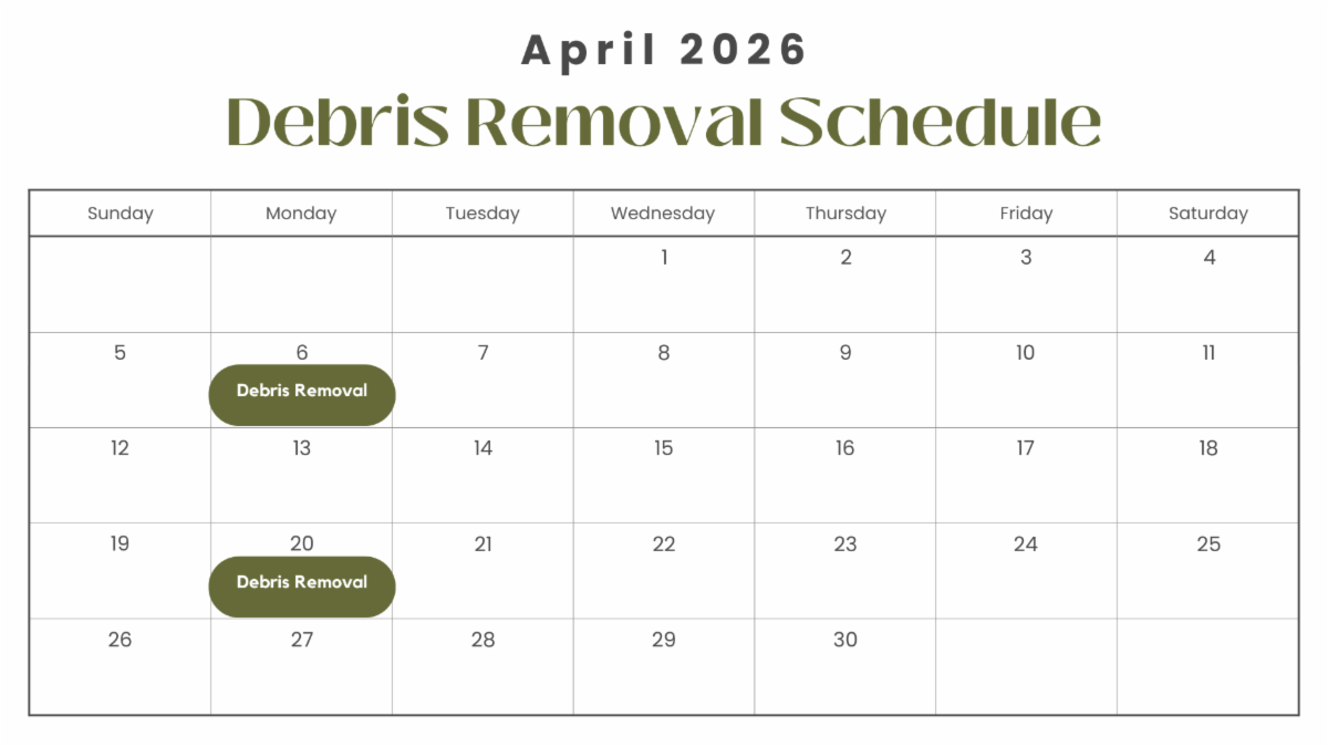 debris schedule