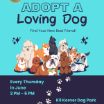 adopt a loving dog